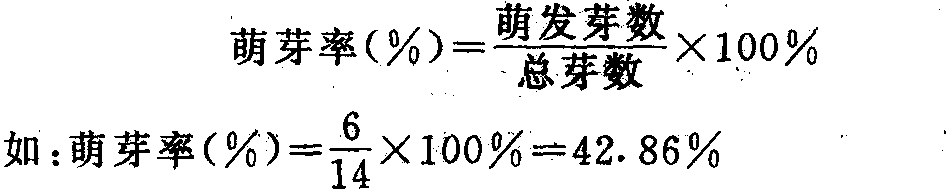 枝条的类型和特性